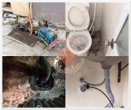 Hướng dẫn cách sử dụng cây thông bồn cầu